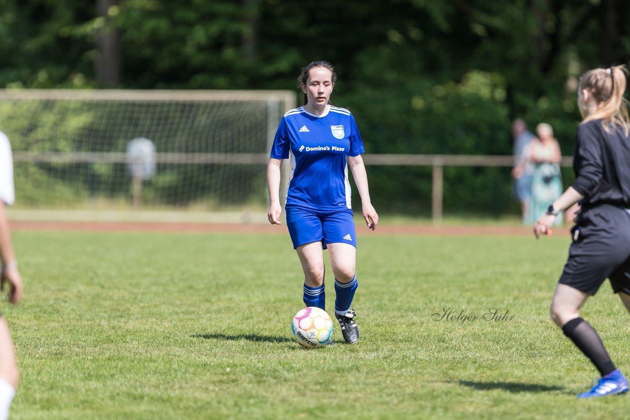 Bild 193 - wBJ VfL Pinneberg - Harksheide : Ergebnis: 2:1